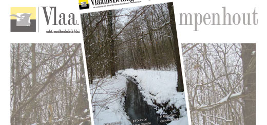 Lokaal blad Kampenhout februari 2014