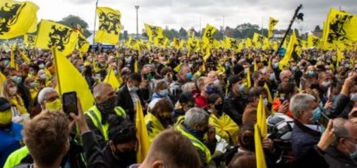 Record: Vlaams Belang overschrijdt kaap van 22.000 leden en groeit bijna 20%